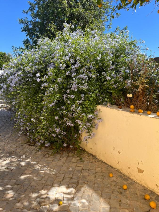 فيلا Quinta Da Layla Olhão المظهر الخارجي الصورة